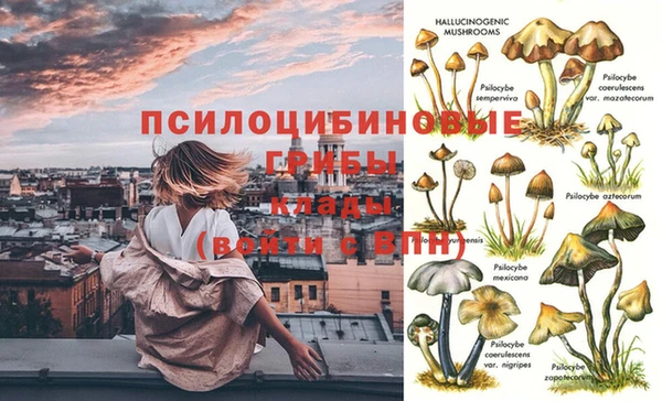 дурь Вязьма